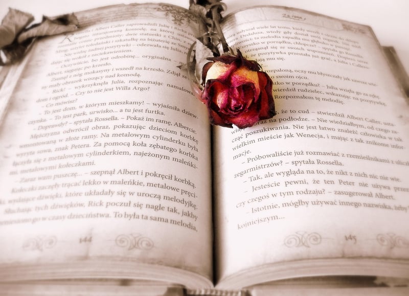 Time Travel Historical Fiction